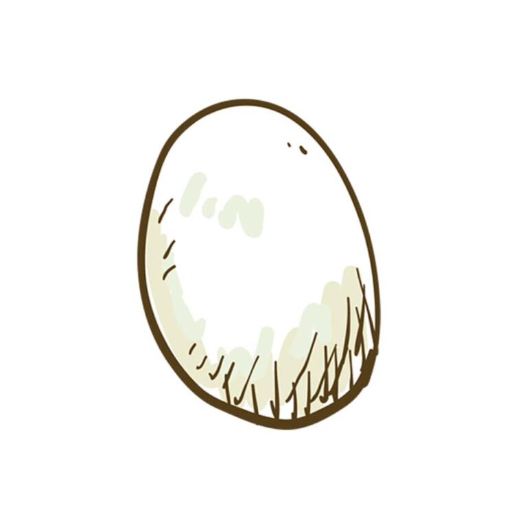 67694379 109478120393724 5058596791713267712 n