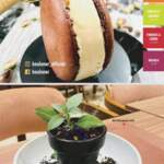 Menu Boulonor Marrakech June 2023 342317