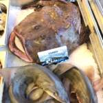 Menu Safir fish Casablanca August 2023 343122-390400