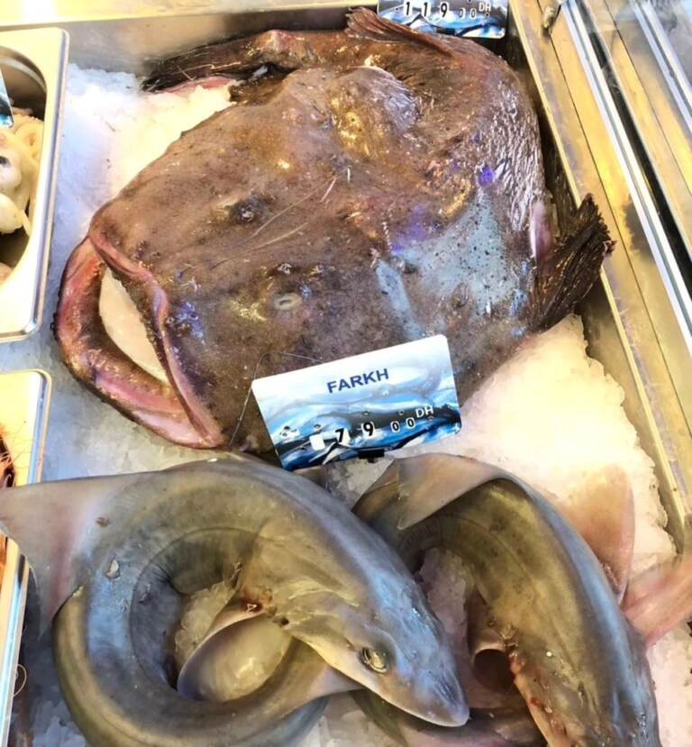 Menu Safir fish Casablanca August 2023 343122-390400