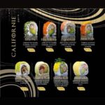 menu SoyaBox Sushis wok restaurant asiatique a casablanca maarif 08