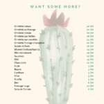 menu cactus cafe marrakech 2