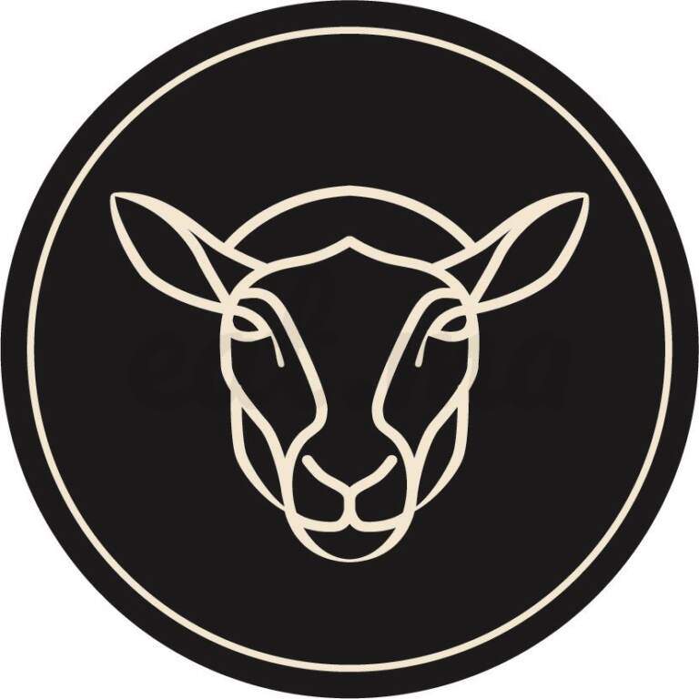 Menu Cantine Mouton Noir Marrakech June 2023 480012