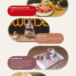 menu dwonder casablanca restaurant 4