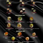 Menu Ikura Sushi Marrakech Marrakech June 2023 184220-424800