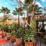 Menu La Ferme Medina Marrakech December 2023 261910-900600