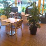 ocoin restaurant mohammedia