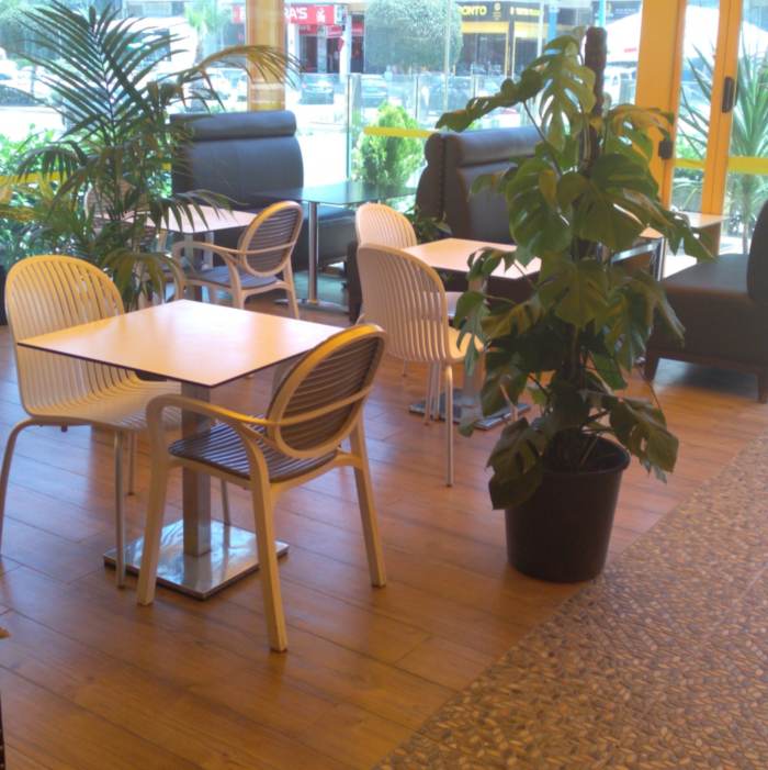 ocoin restaurant mohammedia